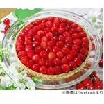 キルフェボンが佐藤錦のタルト、&ldquo;サクランボの王様&rdquo;がてんこ盛り。