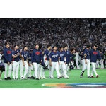 敗れた韓国ナイン　野球