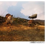 【写真】&ldquo;空中に浮かぶ岩&rdquo;を偶然激写