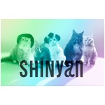 5匹のにゃんこがSHINeeコピー、&ldquo;SHINyan&rdquo;デビューでSNSやブログも。