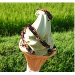 いなごのソフトクリーム、50円で5匹増量もOK