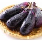 ヒャダイン、&ldquo;なすび&rdquo;に対する知人の指摘に「まだ衝撃を受けています」