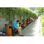 【写真】200mの歩道にゴミ箱100個設置、市民の&ldquo;ゴミ捨てマナー&rdquo;向上が目的。