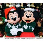 世界のディズニークリスマス、夢溢れるマジカルなイベントがたくさん。