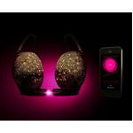 真実の愛がないと外れないブラ、心拍数などのデータとホックが連動。