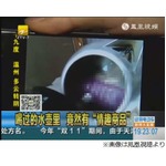 ポット内に使用済みコンドーム、中国のホテルの対応に宿泊客激怒。