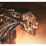 &ldquo;放射能汚染されたエビ&rdquo;を食べた人間はエイリアンに？ 米上院議員が発言