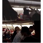 &ldquo;出発遅延&rdquo;機内で20分大乱闘、キャビンアテンダント罵りゴング。