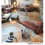 やんちゃ過ぎる息子に母呆然、5分目を離した隙に部屋中が小麦粉まみれ。