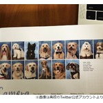 卒業アルバムに&ldquo;14匹の犬&rdquo;、その理由は&hellip;