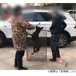 &ldquo;交通安全祈願&rdquo;で犬殴り殺す