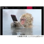 【写真】&ldquo;スマホいじるサル&rdquo;が話題に、ウォークマンのサルを彷彿？