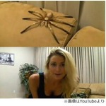 金髪美女のお茶目ないたずら、くつろぐ彼氏の目の前に巨大クモが&hellip;&hellip;。