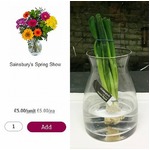 &ldquo;春の花束&rdquo;注文したらワケギ届く、「ありがとう！」と花瓶に生ける。