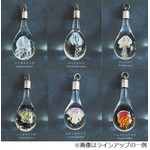 ガラスに閉じ込めたクラゲ12種、まるで標本のような美しきコレクション。