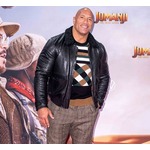 ドウェイン・ジョンソンとエミリー・ブランドまた共演