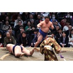 藤ノ川の引き落とし