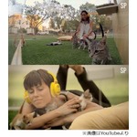 ストレス解消に&ldquo;子ネコ療法&rdquo;、神経を落ち着かせ気分を上向かせる効能。