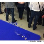 &ldquo;芸術作品踏みつけ平然とする男&rdquo;に非難