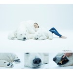 もの凄い&ldquo;本物感&rdquo;、1340万円のシロクマ親子