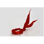 水木一郎公認の赤いマフラー、&ldquo;アニキ&rdquo;になれる「アニキ★マフラー」。