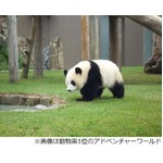 行って良かった動物園＆水族館、口コミで選ばれたランキング1位は？