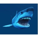 テレ東が&ldquo;サメムービー&rdquo;特集、地上波初放送の「サメ台風」など。