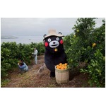 くまモンが遂に全国CMデビュー、生産者や県民の想い胸に頑張る姿描く。