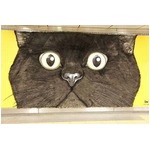 渋谷にモフモフ巨大なクロネコ、触り心地抜群の毛並みにこだわり。