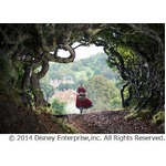 ディズニーが贈る童話のその後、&ldquo;大人のため&rdquo;のミュージカル映画。