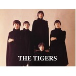 ザ・タイガース&ldquo;CD初&rdquo;TOP100、メンバー監修ベストが初登場95位。