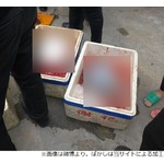 絶滅危惧種イルカ解体&rarr;肉を路上販売で炎上