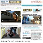 駅で毎日飼い主を待つ&ldquo;忠猫&rdquo;、朝から夕方までホームでのんびり。
