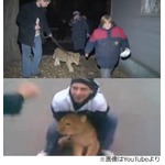 道で拾ったライオン連れ登校、学校に現れた&ldquo;猛獣&rdquo;に皆ビックリ。