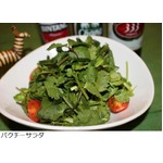 国産パクチー農家直送の専門店、「チャオパクチー 下北沢」オープン。