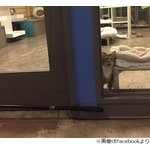 仲間を脱走させる猫、&ldquo;独房&rdquo;に入れられる