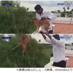 犬を屋根から放り投げ大炎上、動画公開した男たちに非難の声殺到。