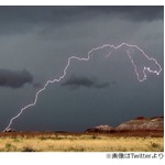 恐竜？&ldquo;化石の森&rdquo;公園で撮影された雷が話題