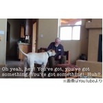 犬に触れ言葉を思い出した父、認知症で会話ない生活の中での&ldquo;奇跡&rdquo;。