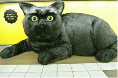 超巨大モッフモフクロネコ出現、期間限定で新宿駅にさわれる“全身”。
