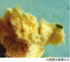 饅頭の中からネズミの糞発見、販売店の店主「黒胡麻です」と白を切る。