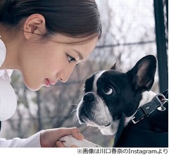 川口春奈、“一緒に戦って頑張った戦友”愛犬・アムちゃんの死を報告