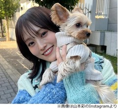 山本彩が“1番幸せを感じる時間”は「犬吸い」「たまらんです」