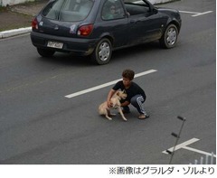 轢かれた犬救出の11歳に反響、車が行き交う道路の真ん中へ駆け寄る。