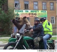 サイドカーに大きなクマ乗せお出かけ