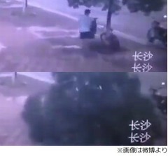 自転車盗むためノコギリで街路樹ギーコギーコ