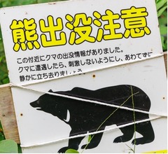 日本郵便、クマ出没地域では「一時的に集配業務見合わせる可能性」対応策発表
