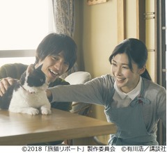 猫大好き竹内結子が映画「旅猫リポート」出演