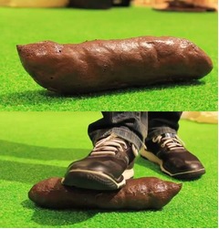 芝生に散らばる茶色い“アレ”、投げてつついて踏んで遊ぶおもちゃ。