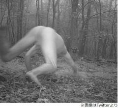 森の野生動物監視カメラ、謎の全裸男写り騒然